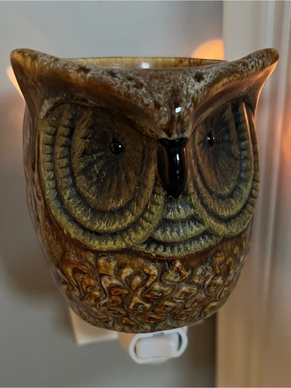 Vintage owl wax warmer plug in